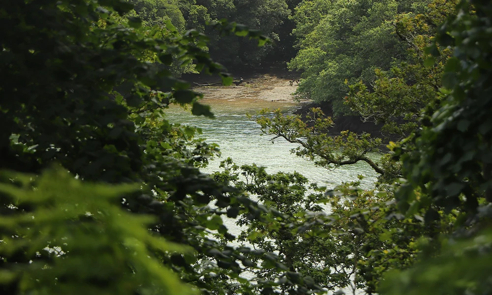 nationaltrust-galleryimg2